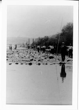 Logging on the St. Croix, undated
