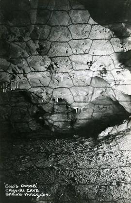 Cow's Udder,' Crystal Cave, Spring Valley, Wisconsin