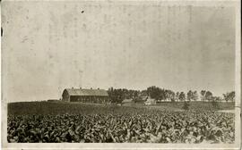 St. Croix County: Warren Township, views, L. W. Ash farm, undated