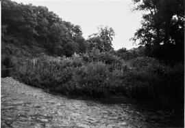 Pierce County: Clifton Township, miscellaneous, Dayton Mill site, 1992