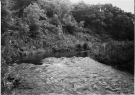 Pierce County: Clifton Township, miscellaneous, Dayton Mill site, 1992