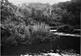 Pierce County: Clifton Township, miscellaneous, Dayton Mill site, 1992
