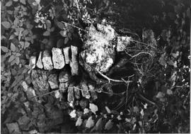 Pierce County: Clifton Township, miscellaneous, Dayton Mill site, 1992