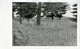 St. Croix County: Kinnickinnic Township, miscellaneous, cemeteries, Kinnickinnic Cemetery, May 1974
