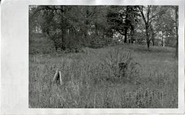 St. Croix County: Kinnickinnic Township, miscellaneous, cemetery in back of Kinnickinnk Township Church, undated