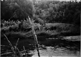 Pierce County: Clifton Township, miscellaneous, Dayton Mill site, 1992