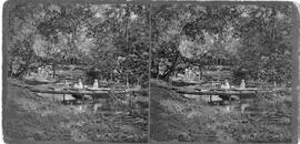 River Falls: Businesses, mills-cascade, Cascade Dam, undated