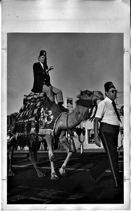 River Falls: events, parades, Shriners, East-West Shrine Bowl camel, September 1976