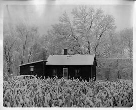 Burnett County: Miscellaneous, cabin, Marshland Township, history on back, undated