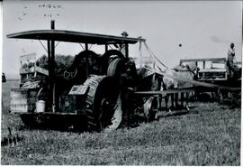 St. Croix County: Hammond Township, agriculture, harvesting, threshing, undated