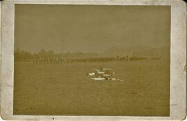 Company C, Third Infantry from Hudson at Camp Douglas, 1896