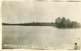 Martell Lake, McKinley, Wisconsin