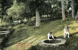 Bethania Mineral Spring Park, Osceola, Wisconsin