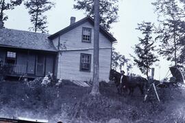 Link or Lynk or Lynx family home, circa 1890