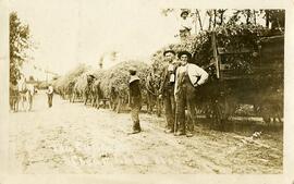 Pea company, Clear Lake, Wisconsin