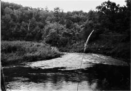 Pierce County: Clifton Township, miscellaneous, Dayton Mill site, 1992