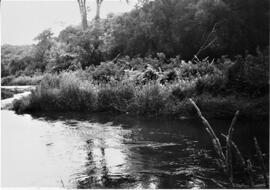 Pierce County: Clifton Township, miscellaneous, Dayton Mill site, 1992
