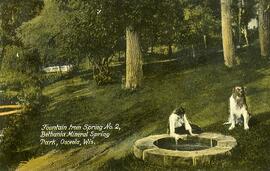 Bethania Mineral Spring Park, Osceola, Wisconsin