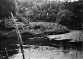 Pierce County: Clifton Township, miscellaneous, Dayton Mill site, 1992