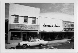 Businesses on East side of Main Street in River Falls, 1976