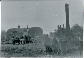 St. Croix County: Hammond Township, agriculture, harvesting, threshing, undated