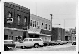 River Falls: views, streets, Elm Street, 1976