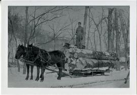 Sawyer County: Exeland, logging, undated