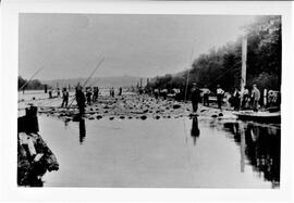 General: Logging, rivers, St. Croix, logging on the St. Croix, undated