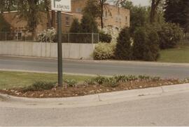 Intersection garden, May 1982.